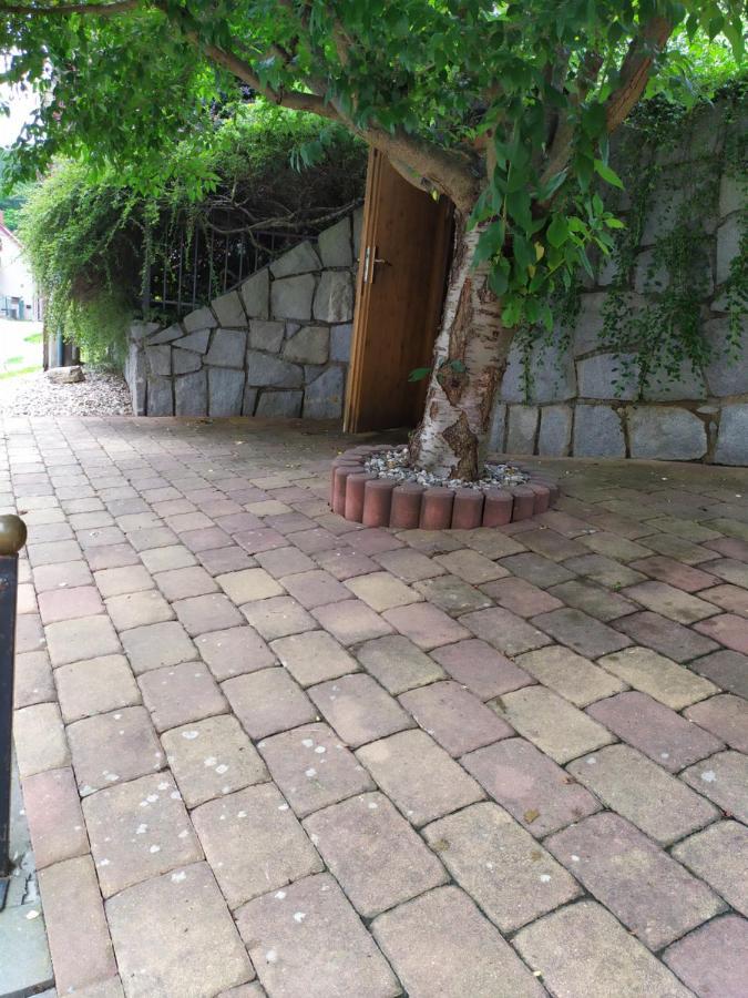 Ubytovani Iris Dolany  Exterior photo